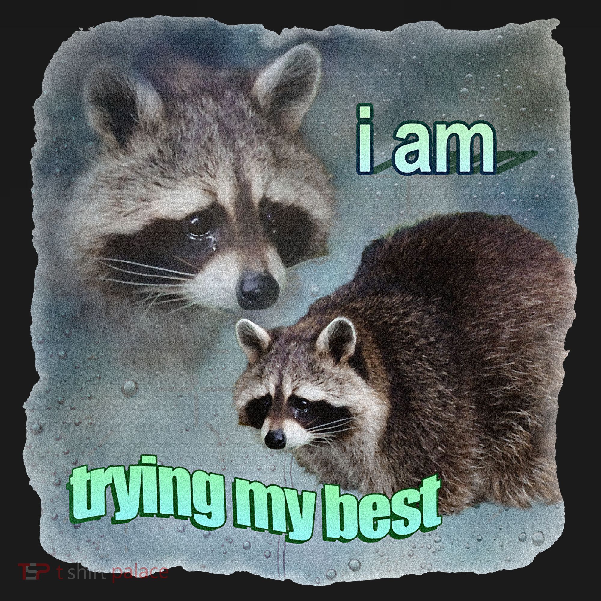 I Am Trying My Best Raccoon Meme Doggie Tank