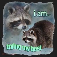 I Am Trying My Best Raccoon Meme Beanie thumb 2