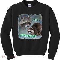 I Am Trying My Best Raccoon Meme Kids Sweatshirt thumb 0