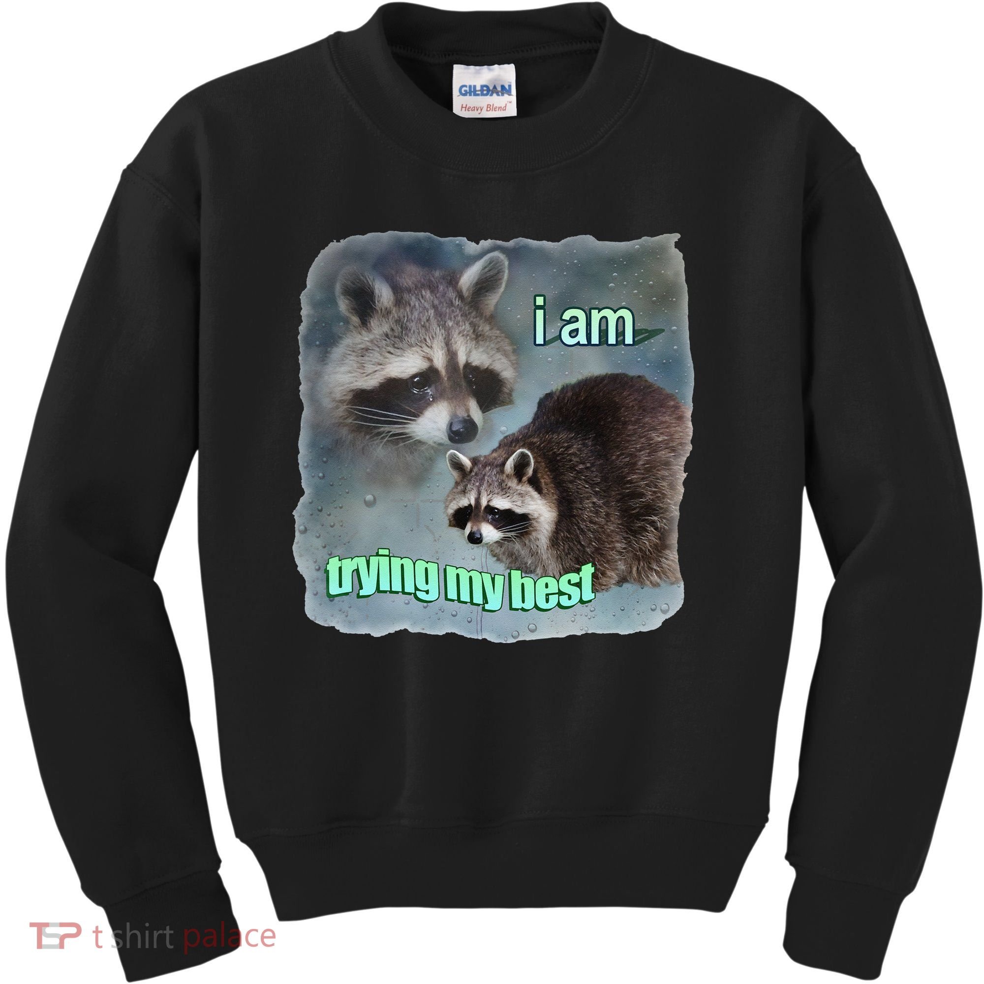 I Am Trying My Best Raccoon Meme Kids Sweatshirt