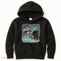 I Am Trying My Best Raccoon Meme Kids Hoodie thumb 0