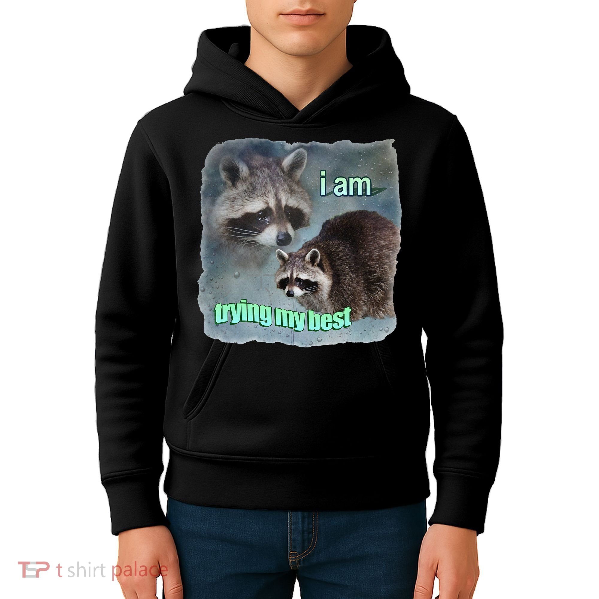 I Am Trying My Best Raccoon Meme Kids Hoodie