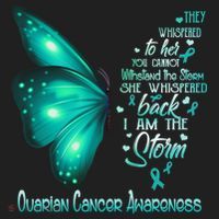 I Am The Storm Ovarian Cancer Awareness Butterfly Gift Beanie thumb 2