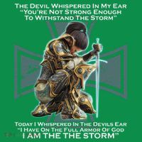 I Am The Storm Female Knight Warrioress Toddler T-Shirt thumb 4