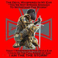 I Am The Storm Female Knight Warrioress Santa Hat thumb 1