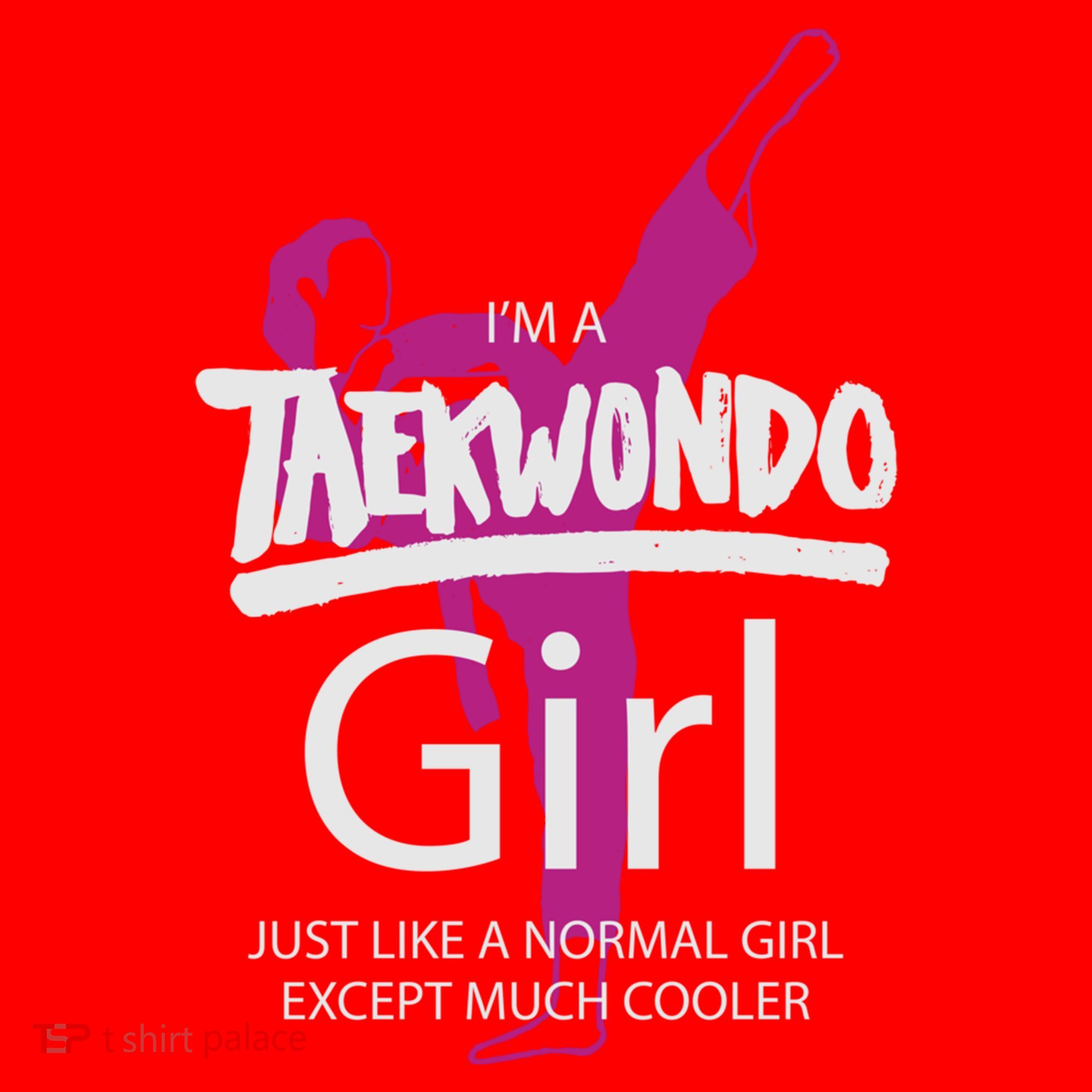IM A Taekwondo Much Cooler Martial Arts Tkd Quote Funny Gift Santa Hat