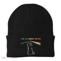 I Am The Enemy Within Kamala Harris Cat Lady Brighter Future Beanie thumb 0
