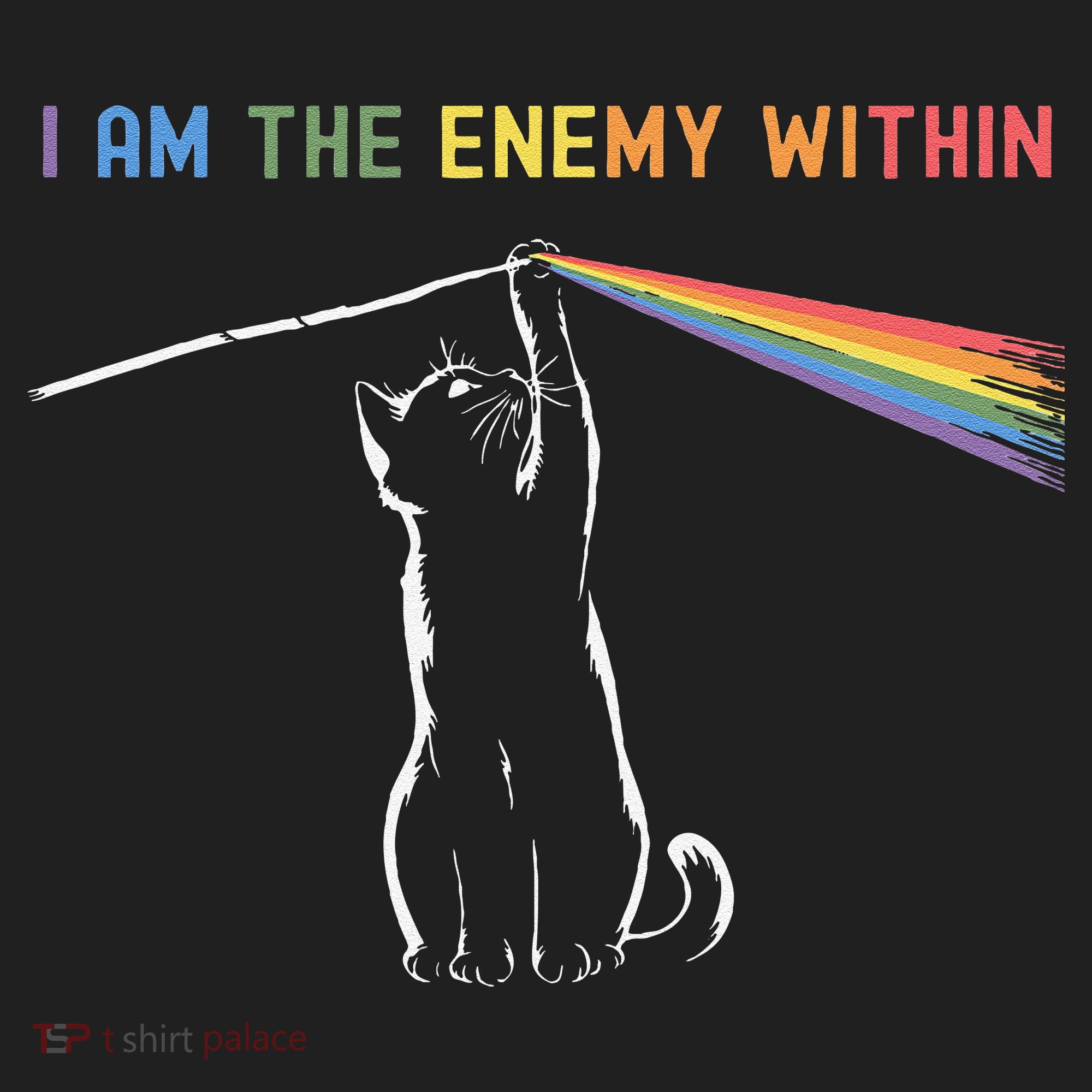 I Am The Enemy Within Kamala Harris Cat Lady Brighter Future Beanie