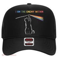 I Am The Enemy Within Kamala Harris Cat Lady Brighter Future Hat thumb 0