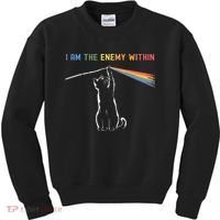 I Am The Enemy Within Kamala Harris Cat Lady Brighter Future Kids Sweatshirt thumb 0