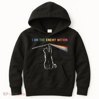 I Am The Enemy Within Kamala Harris Cat Lady Brighter Future Kids Hoodie thumb 0