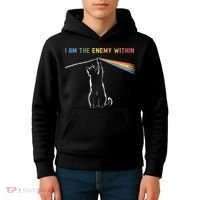 I Am The Enemy Within Kamala Harris Cat Lady Brighter Future Kids Hoodie thumb 4
