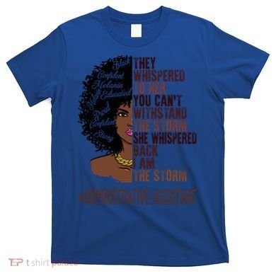 I Am The Storm Administrative Assistant African Gift T-Shirt