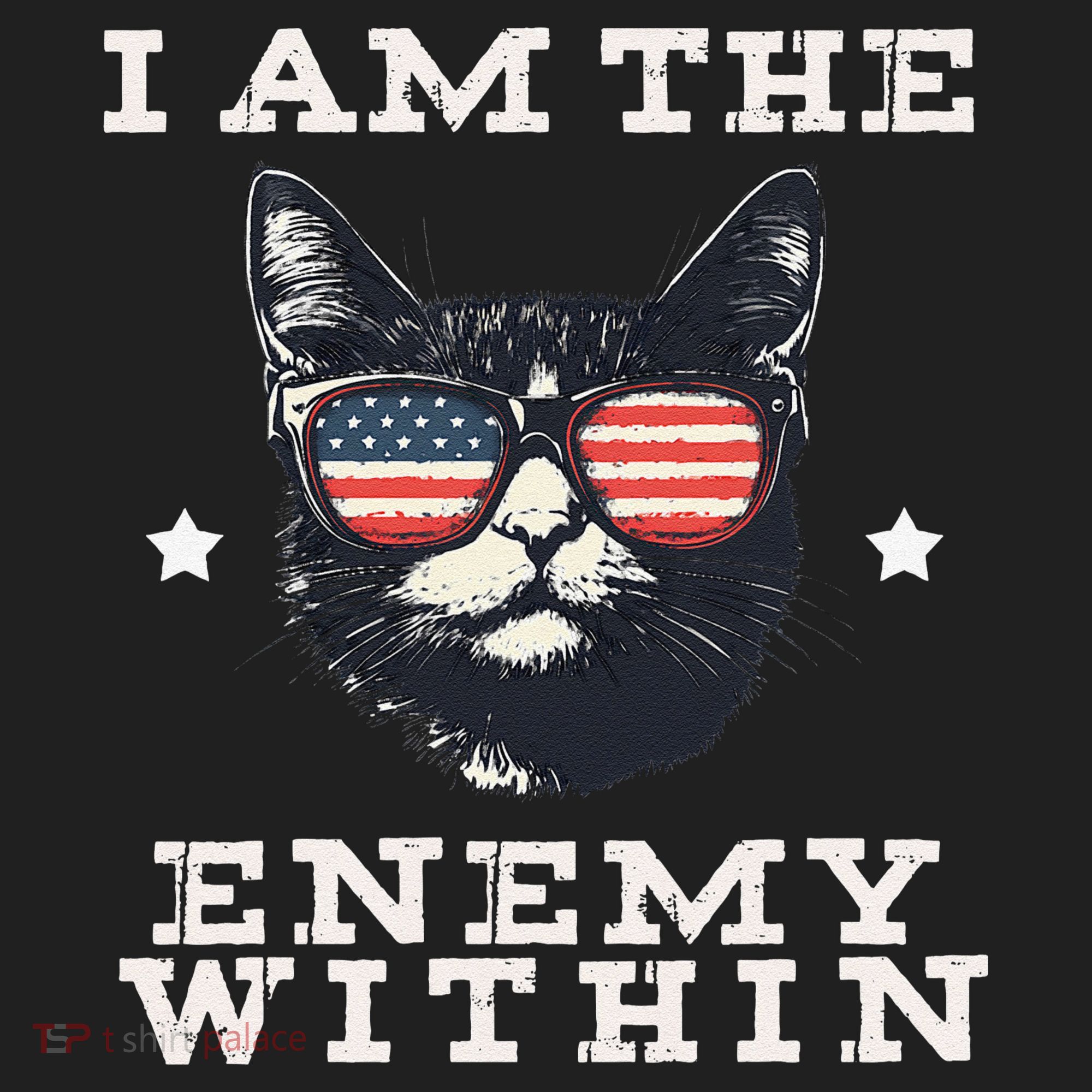 I Am The Enemy Within American Cat Beanie