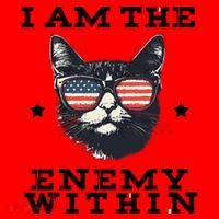 I Am The Enemy Within American Cat Santa Hat thumb 1