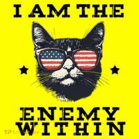 I Am The Enemy Within American Cat Women's T-Shirt thumb 6