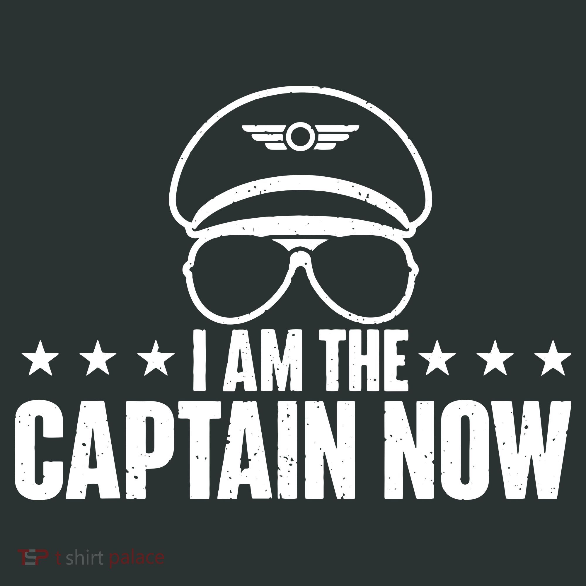 I Am The Captain Now Airplane Aircraft Lover Airline Pilot Long Sleeve Shirt
