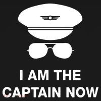 I Am The Captain Now Funny Pilot Ornament thumb 1
