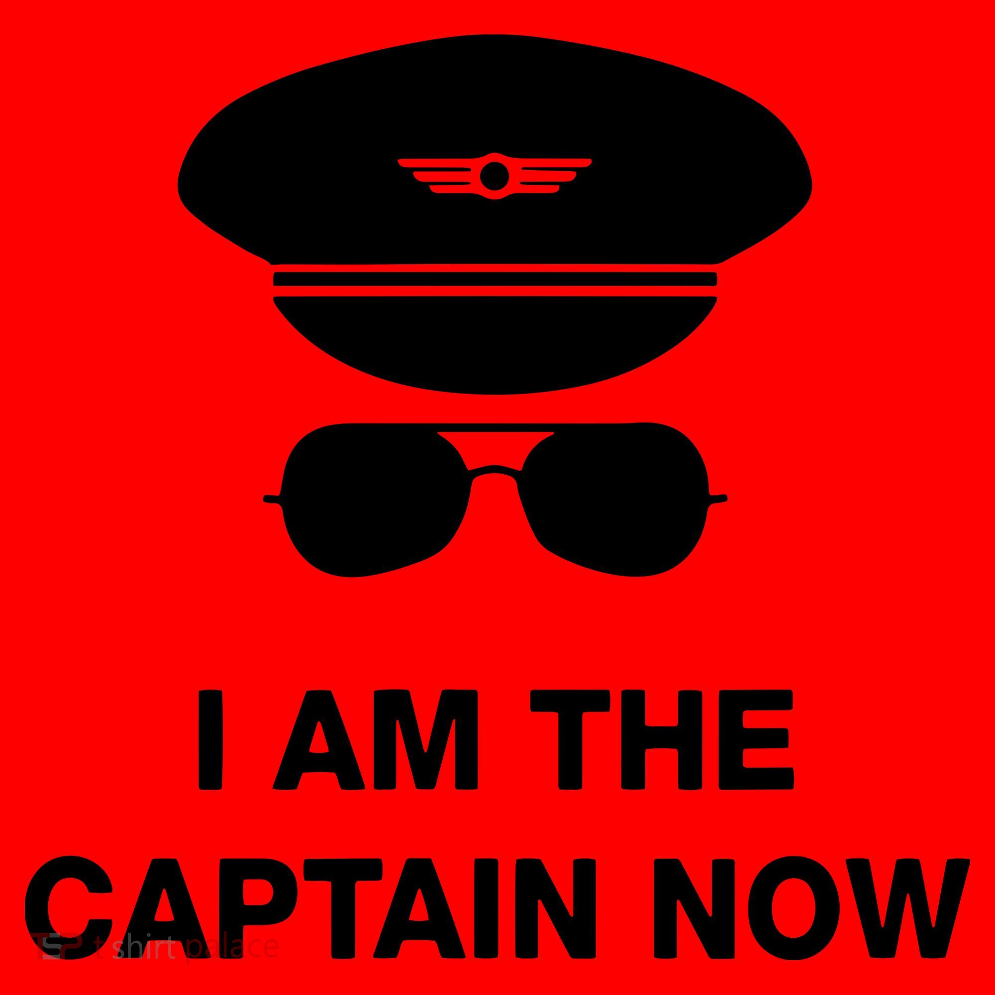 I Am The Captain Now Funny Pilot Santa Hat