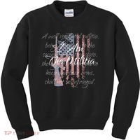 I Am The Militia Pro 2nd Amendment Proud American Flag Gift Kids Sweatshirt thumb 0