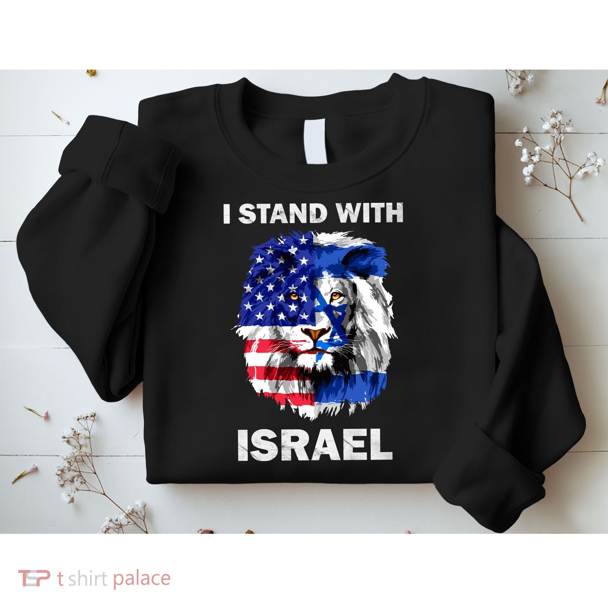 Israel And Usa Flag Lion | I Stand With Israel Sweatshirt