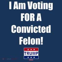 I Am Voting For A Convicted Felon Trump 2024 Women's Hoodie thumb 2