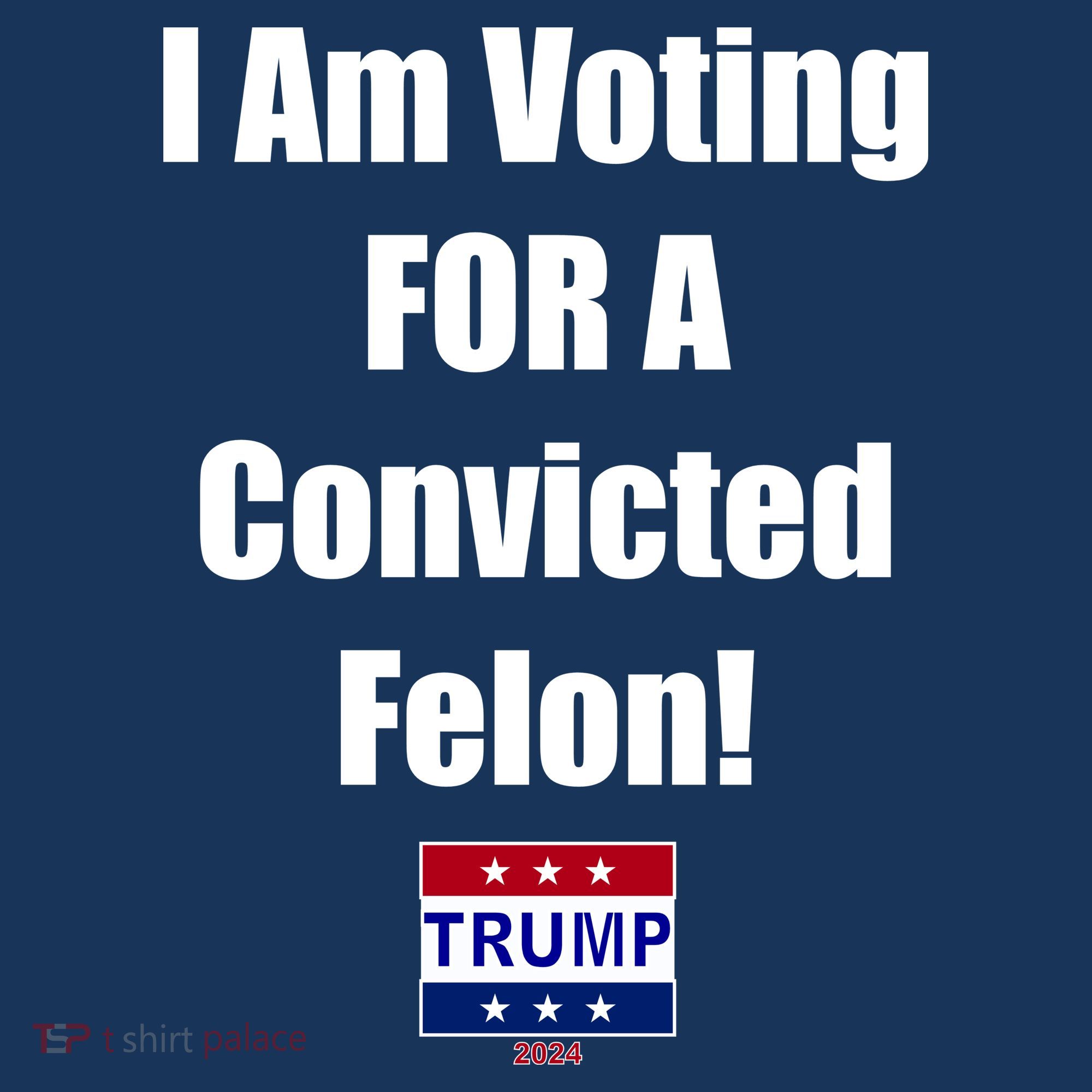 I Am Voting For A Convicted Felon Trump 2024 Women's Tank Top