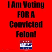 I Am Voting For A Convicted Felon Trump 2024 Santa Hat thumb 1