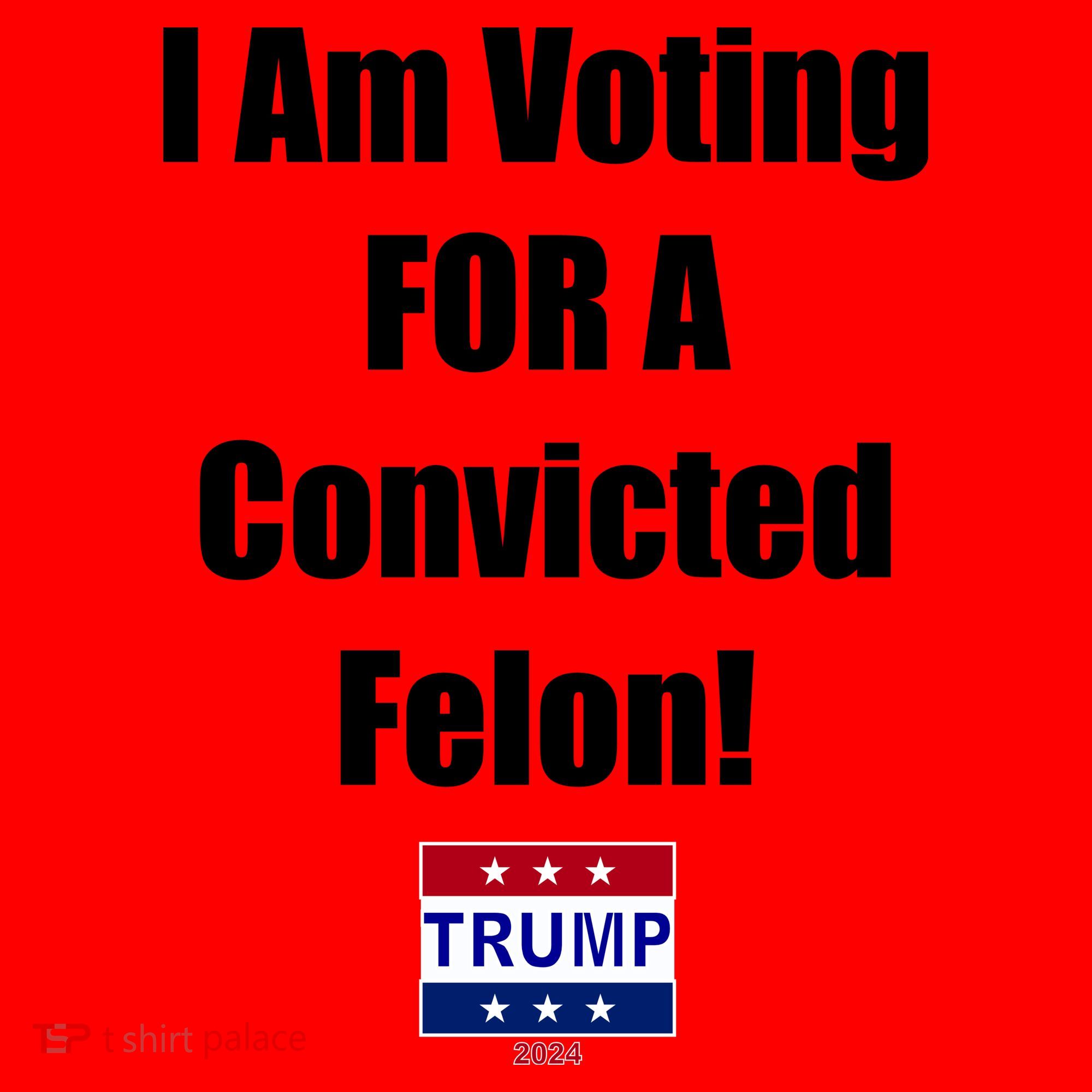 I Am Voting For A Convicted Felon Trump 2024 Santa Hat