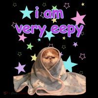I Am Very Eepy Funny Cat Blanket Long Sleeve Shirt thumb 2