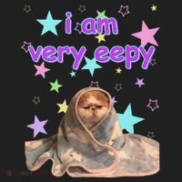 I Am Very Eepy Funny Cat Blanket Beanie thumb 2
