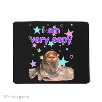 I Am Very Eepy Funny Cat Blanket Mousepad
