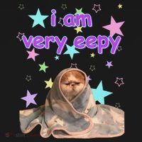 I Am Very Eepy Funny Cat Blanket Kids Long Sleeve Shirt thumb 2