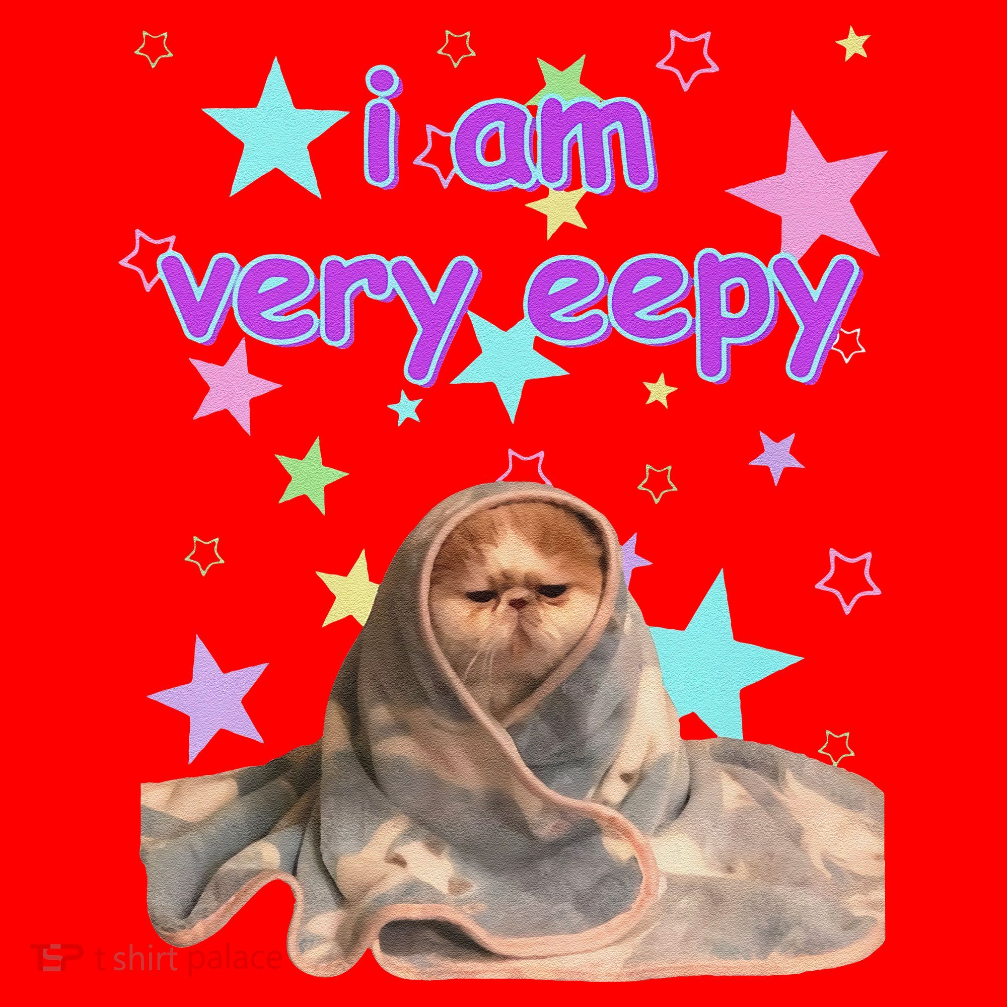 I Am Very Eepy Funny Cat Blanket Santa Hat