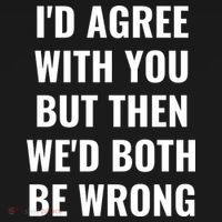 I'd Agree With You But Then We'd Both Be Wrong Ornament thumb 1