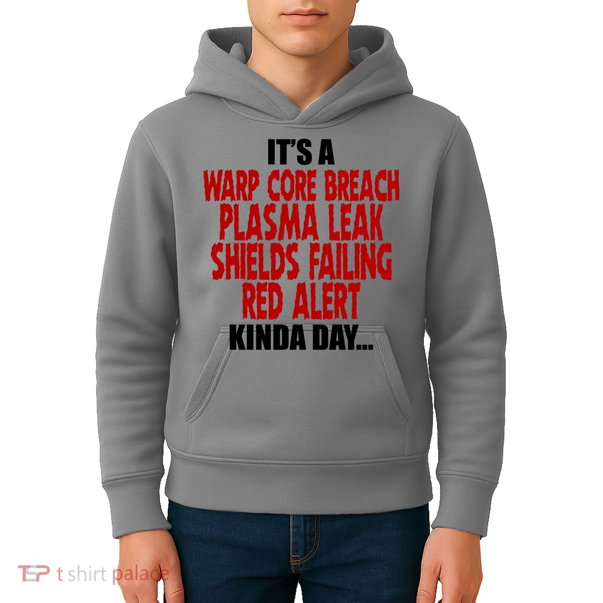 It's A Warp Core Plasma Leak Shield Funny Meme Kids Hoodie