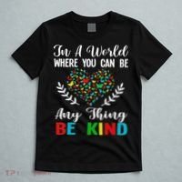 In A World Where You Can Be Anything Be Kind Support Autism T-Shirt thumb 5