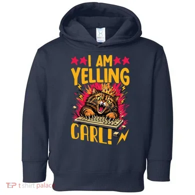 Toddler Hoodie