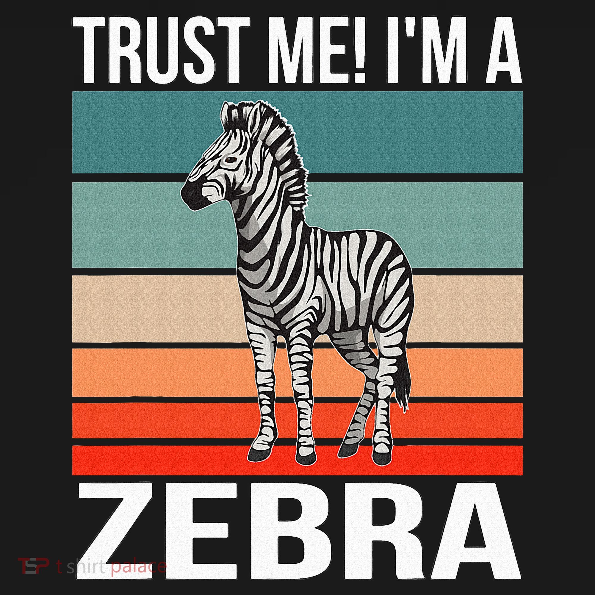 I'm a Zebra Halloween Safari Zoo Zebra Women's Hoodie