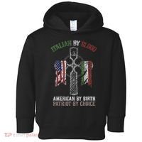 Italian By Blood American By Birth Patriot By Choice Toddler Hoodie thumb 0