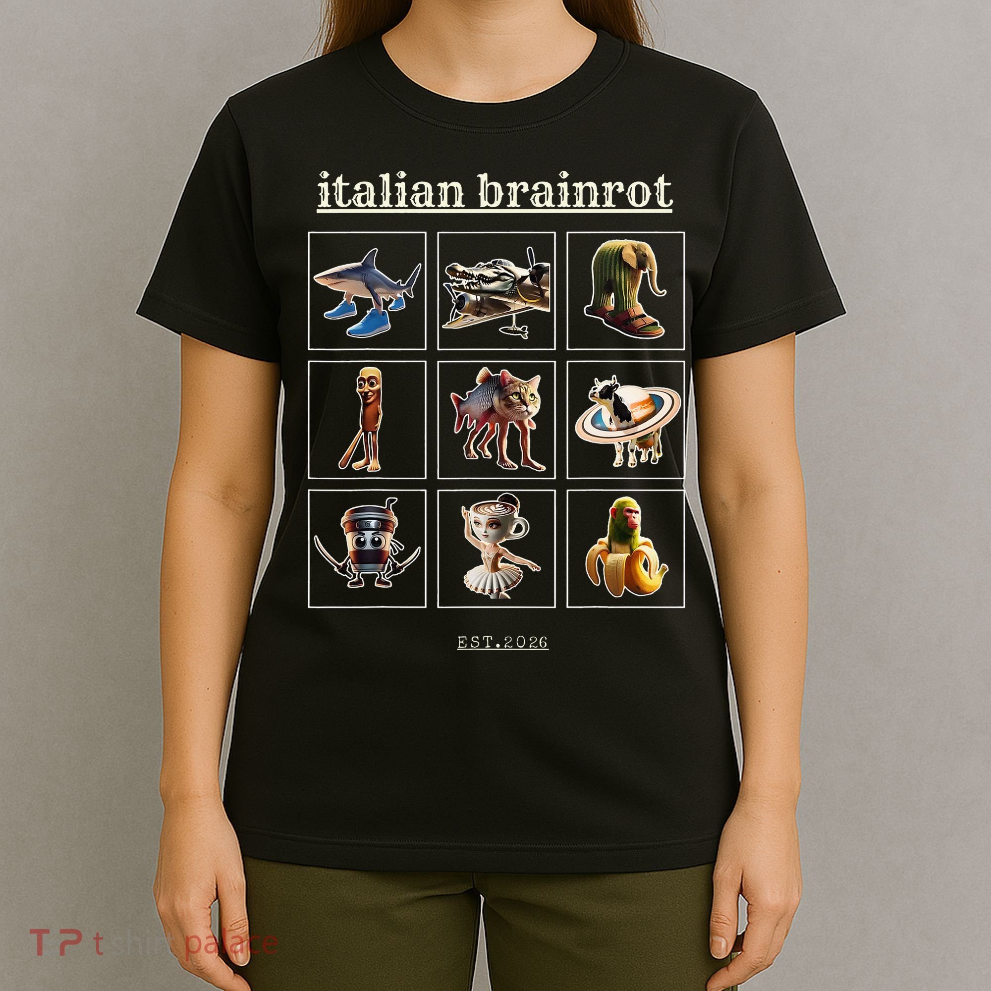 Italian Brainrot Characaters Meme Gen Z Funny Humor T-Shirt