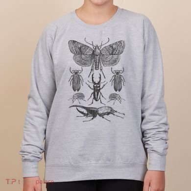 Insect Bug Collection Moth Stag Beetle Cicada Women's Sweatshirt