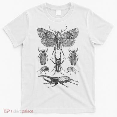 Insect Bug Collection Moth Stag Beetle Cicada T-Shirt