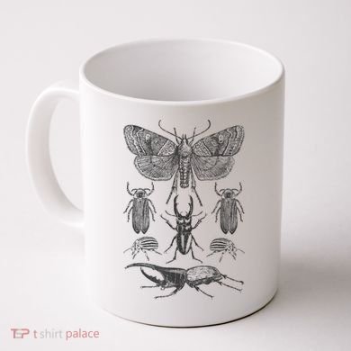 Insect Bug Collection Moth Stag Beetle Cicada Coffee Mug