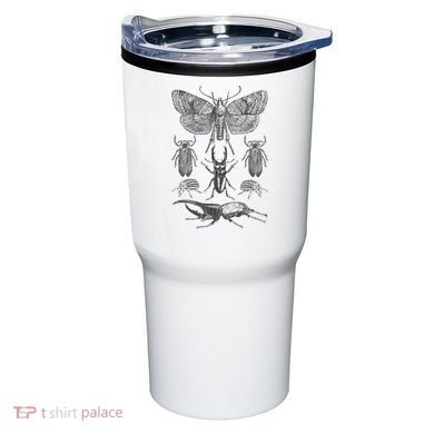 Insect Bug Collection Moth Stag Beetle Cicada Tumbler