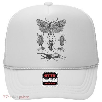 Insect Bug Collection Moth Stag Beetle Cicada Hat