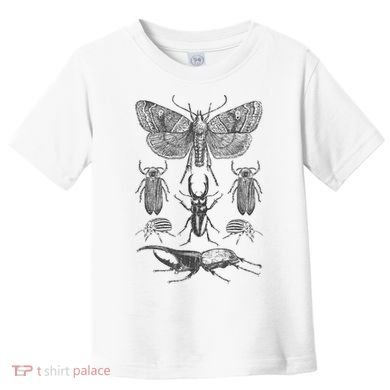 Insect Bug Collection Moth Stag Beetle Cicada Toddler T-Shirt