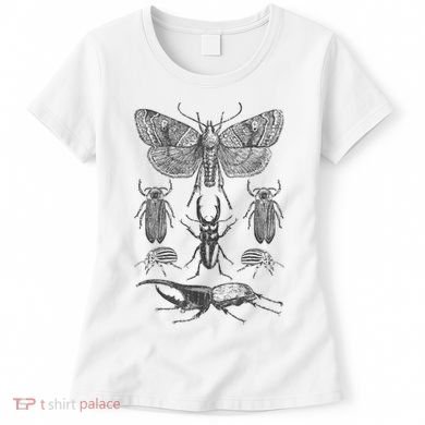 Insect Bug Collection Moth Stag Beetle Cicada Women's T-Shirt