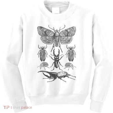 Insect Bug Collection Moth Stag Beetle Cicada Kids Sweatshirt