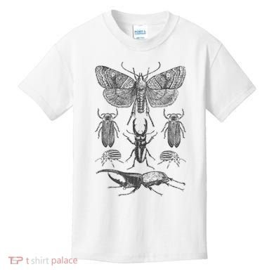 Insect Bug Collection Moth Stag Beetle Cicada Kids T-Shirt